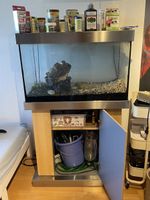 Aquarium mit viel Zubehör 