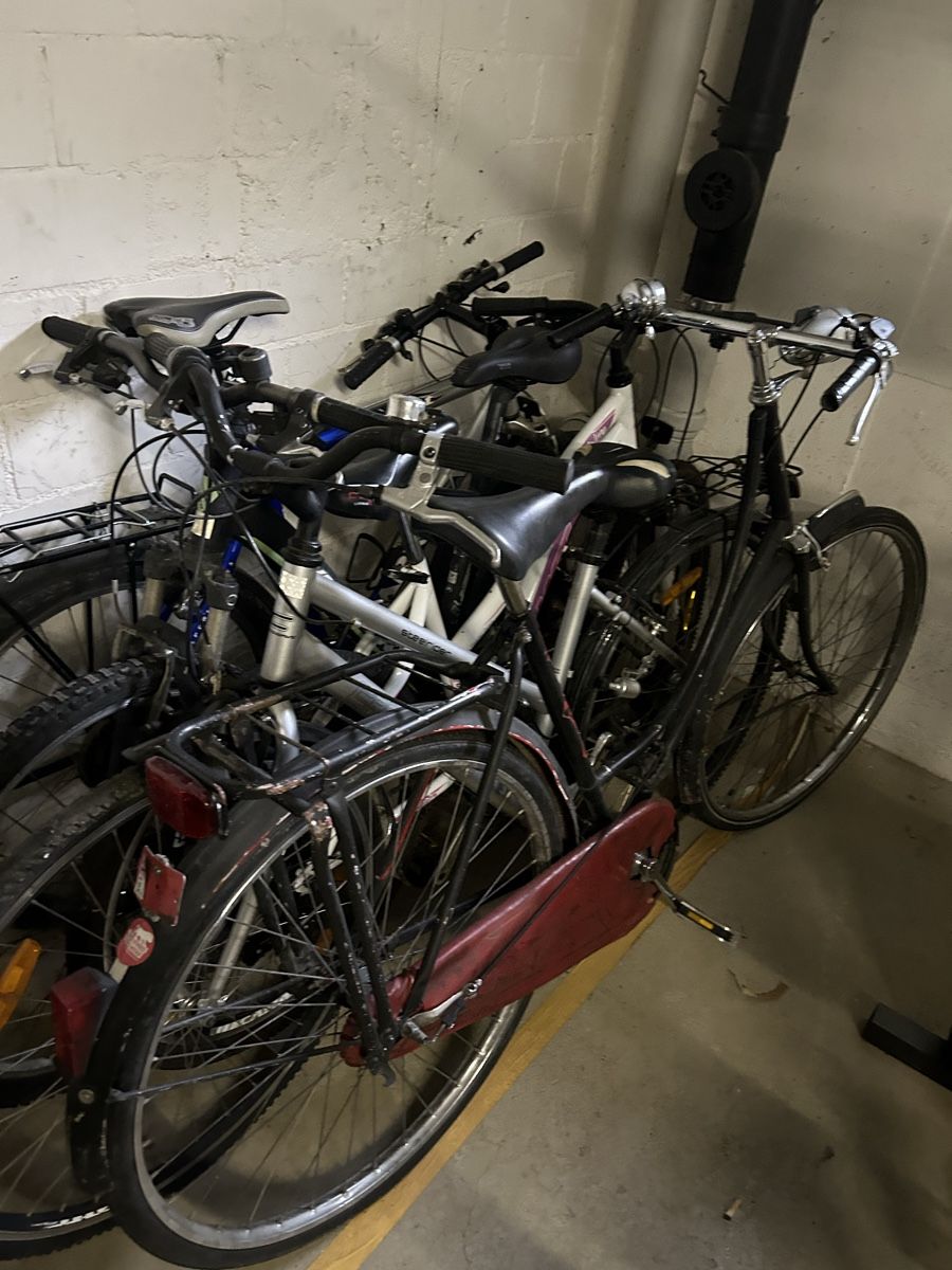 Velos: Export velo – Gebraucht aus Egerkingen von G1970B 5