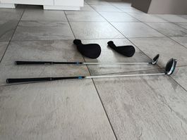 Golfschläger (Driver und Holz 3)