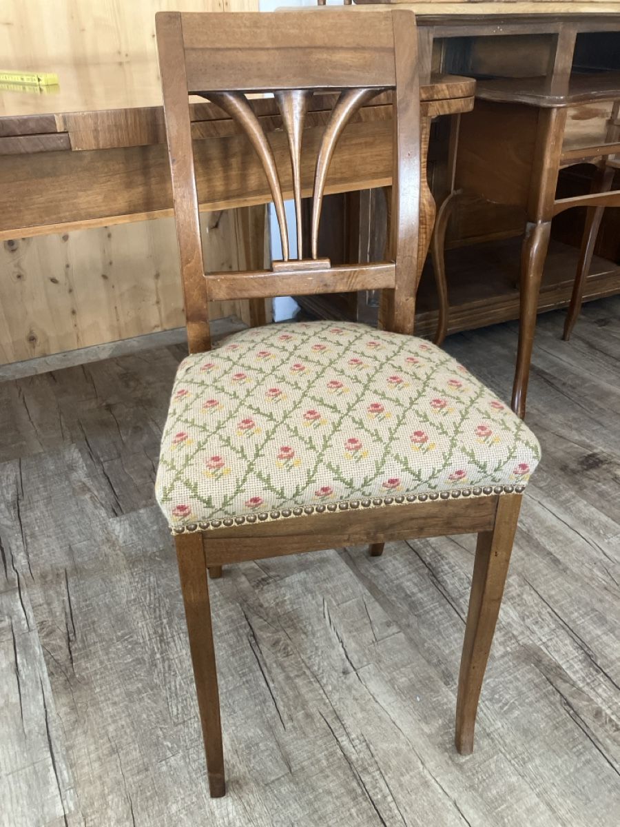 Chaises: Stuhl – D'occasion à Burg AG par ala_cx8x