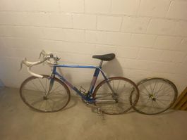 Krapf Vintage Rennvelo für Liebhaber