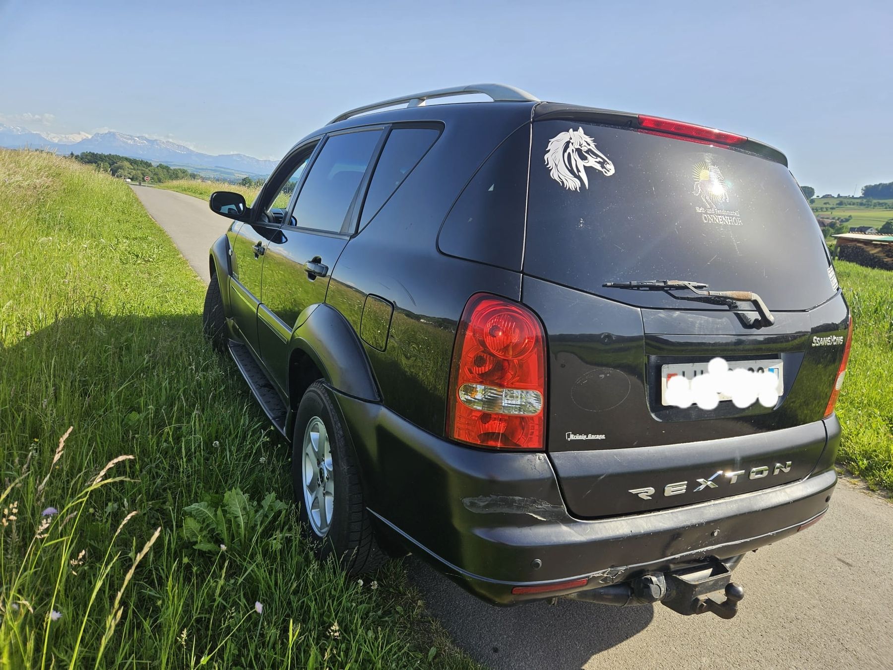 Ssangyong Automobili: SsangYong Rexton – Usato da Unterkulm venduto da NHL_92 2