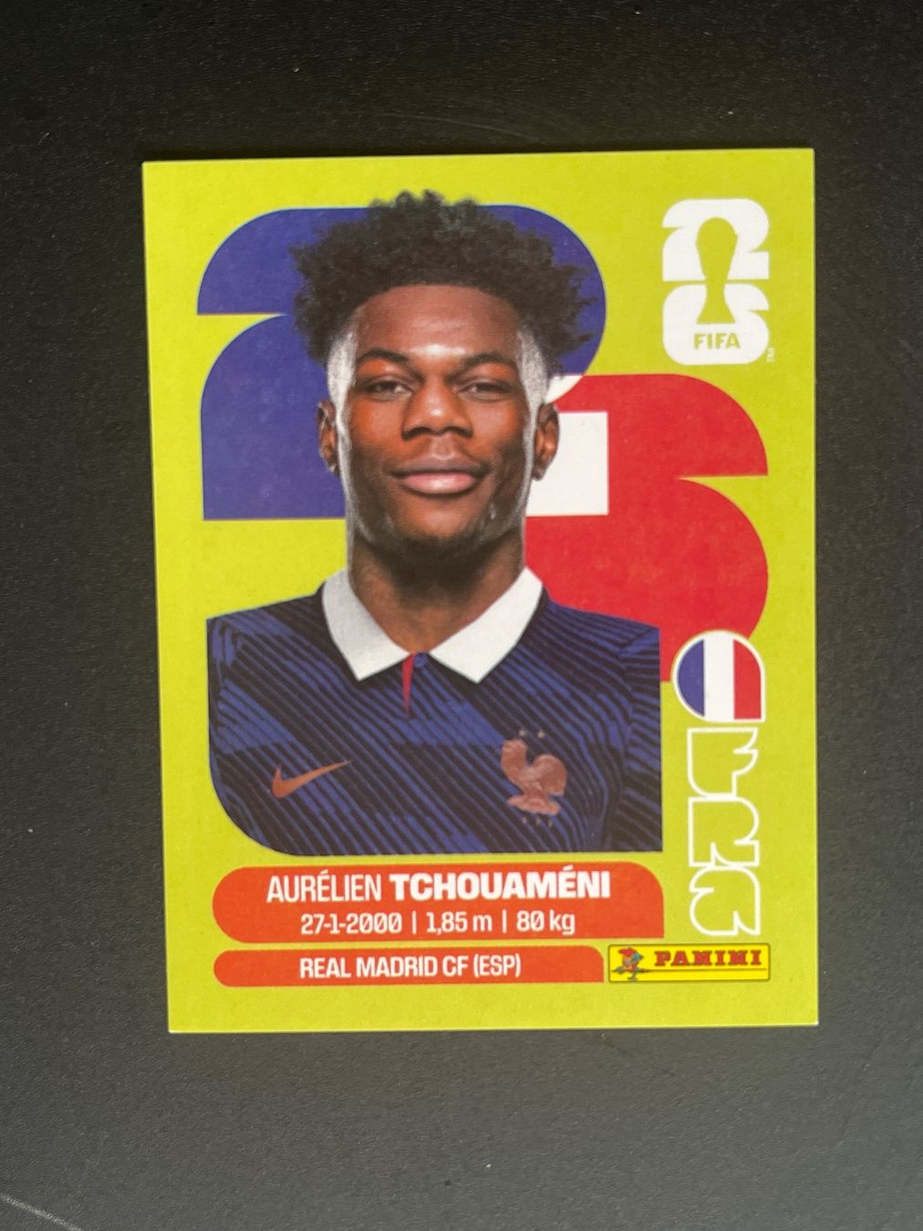Panini Sammelbilder & Trading cards: Panini FRA9 – Neu (gemäss Beschreibung) aus Susten von Rechnun