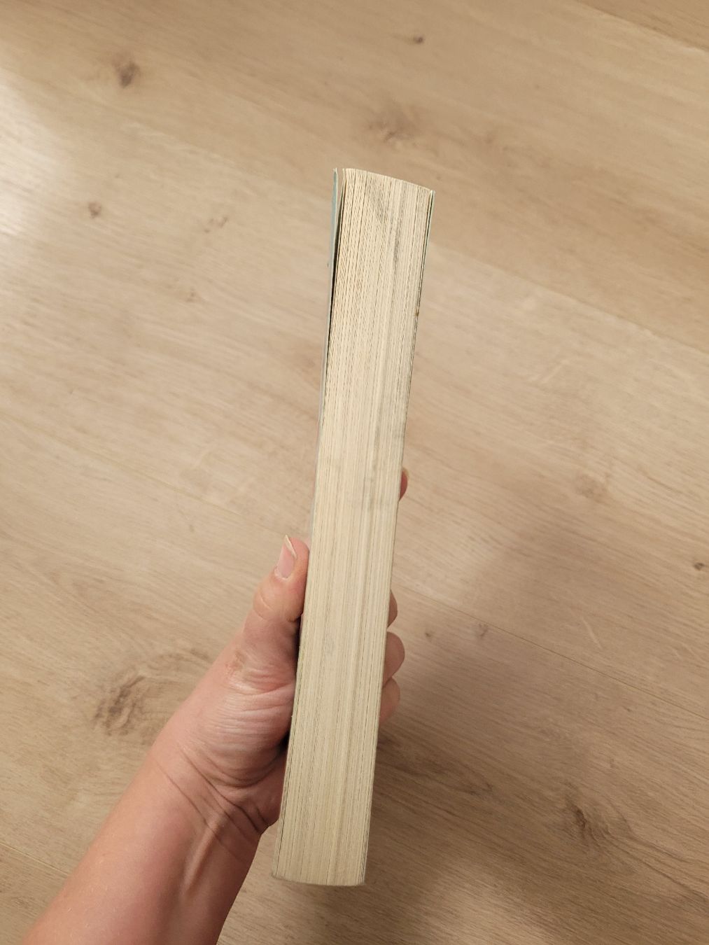 Libri: Buch Winter-Kartoffel-Knödel – Usato da Lupsingen venduto da sta_wgg5 3