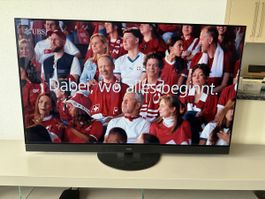 PANSONIC   FERNSEHER   TX  -  55 HZC1505    55   ZOLL
