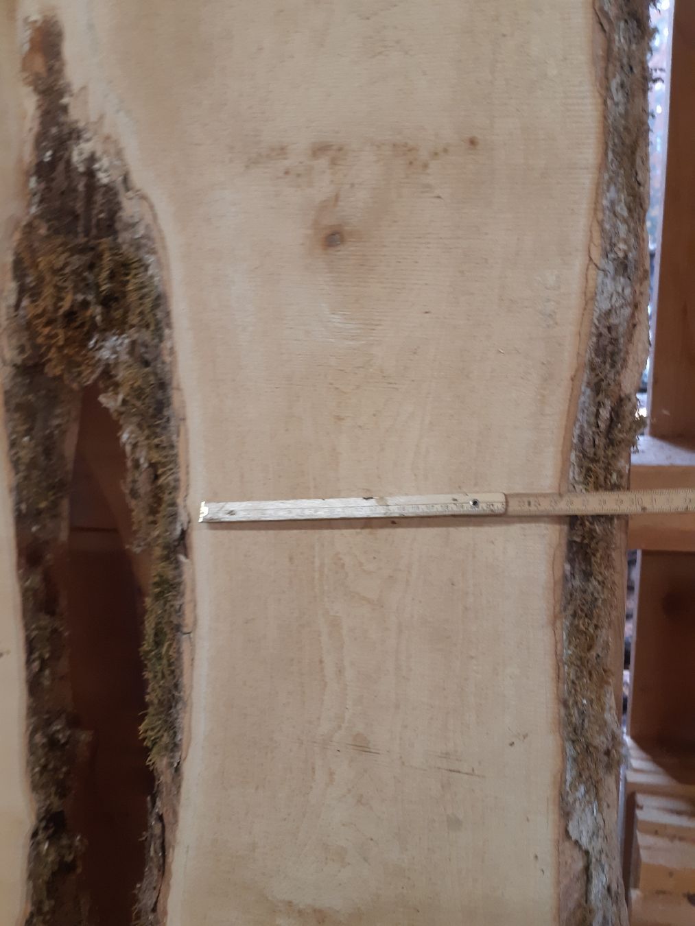Articoli in legno: Bergahorn Bolen Bretter Nr.3 – Nuovo (secondo la descrizione) da Grindelwald venduto da carro5 6