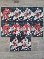 Eishockey Sammelkarten SCRJ Lakers Set Playoff