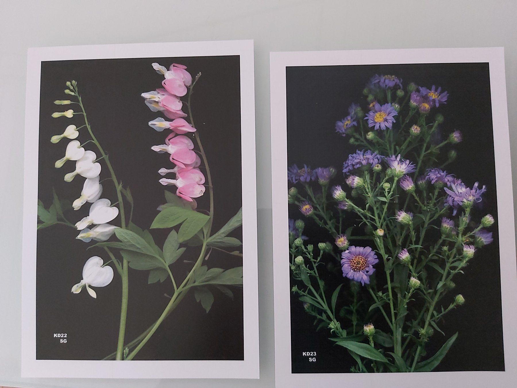 Autres fournitures scolaires: Lernkarten Floristik – D'occasion à Möhlin par wildm1 2