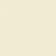 Foulard & Sciarpe: PASHMINA SCHAL - IVORY / ELFENBEIN – Nuovo (secondo la descrizione) da Honau venduto da sainj 1