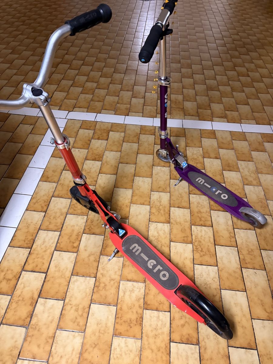 Scooter: Monopattino micro – Usato da Montagnola venduto da fboggio 1