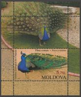 Moldawien 2013 Vögel postfrisch