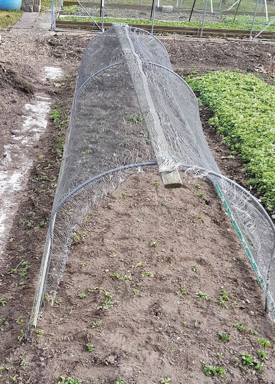 Hagelschutz, Regenschutz, Beschattung, Tunnelbogen Kaufen auf Ricardo