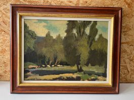 Landschaft - Szene von Stefan Hasenböhler   (ID M318)