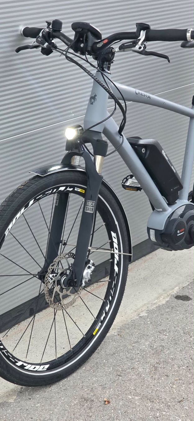 Cresta Velos: Cresta E-Bike 45km/h M, Ab Service – Gebraucht aus Dällikon von Mathias.A 1