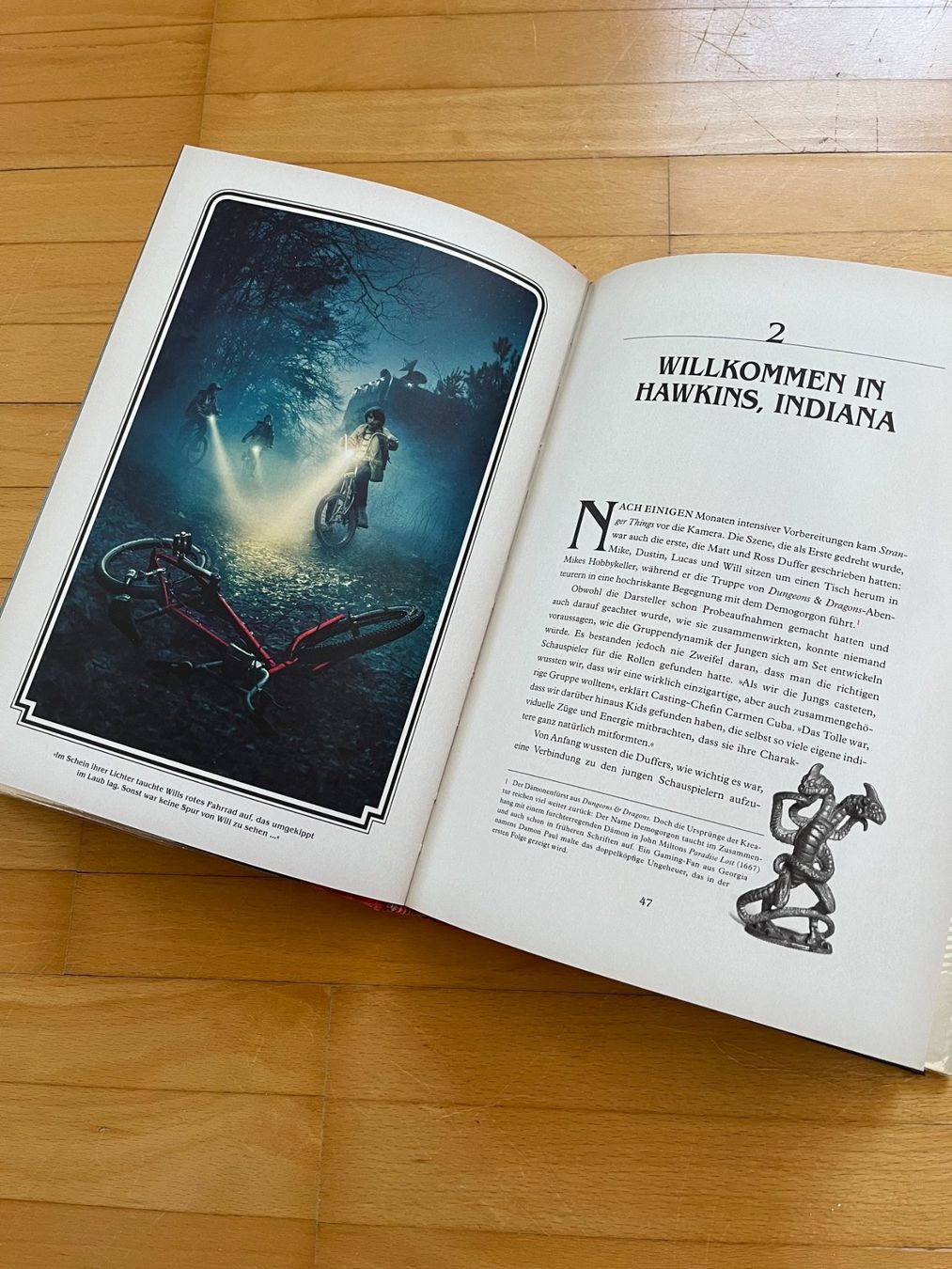 Libri: STRANGER THINGS: Das offizielle Begleitbuch, NETFLIX – Usato da Brugg AG venduto da Wavey 2