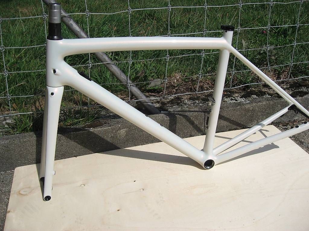 Pièces détachées: Specialised Aethos  Comp Rahmen gr 54 – Neuf (Voir description) à Egg SZ par Palomita50
