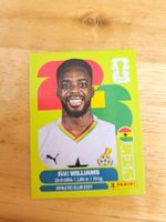 Panini FIFA World Cup GHA 15