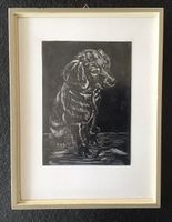 Spaniel Ritzzeichnung Hundeportrait Tschanz 1963