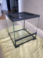 Terrarium  30x30x30