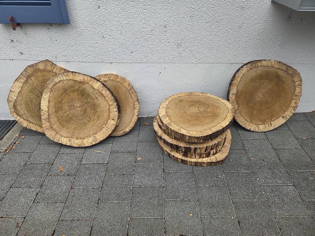 Articles en bois: 9x Holzscheiben – D'occasion à Trimbach par lis_xc8y 2