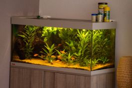 Aquarium 100x40x40