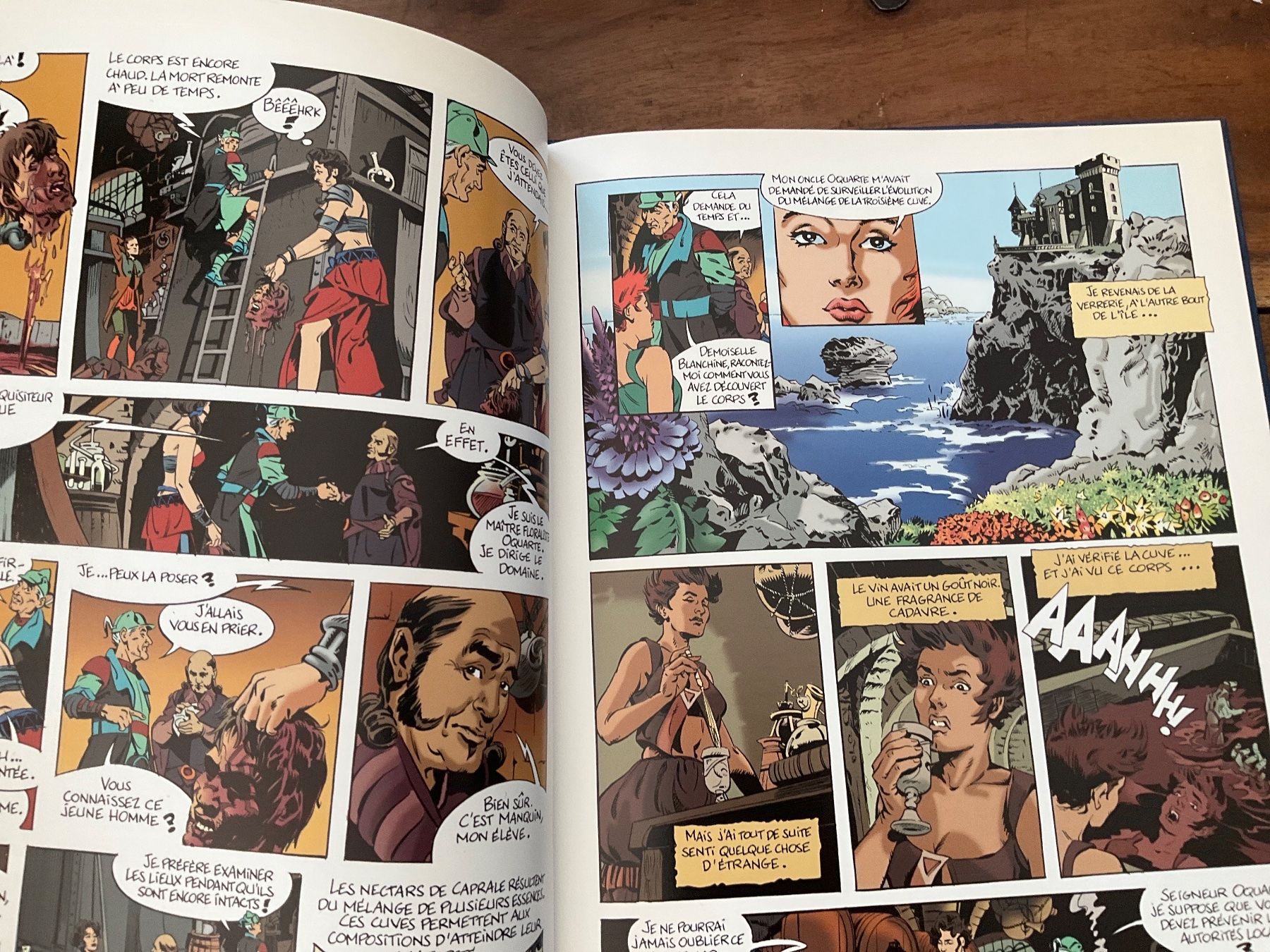 Comics: Mycroft Inquisitor T1 BD rare – Gebraucht aus Avenches von Lactobacille 2