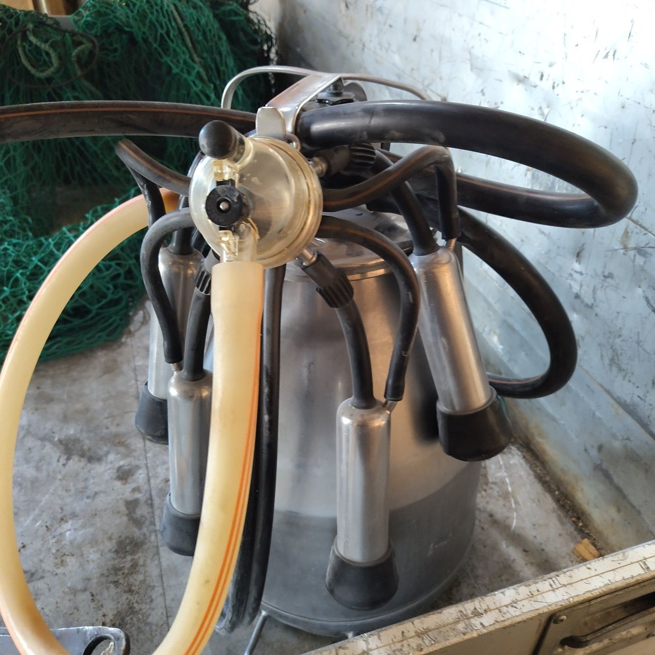 Tutte le macchine: Melkaggregat Delaval – Usato da Herisau venduto da kobiza 1