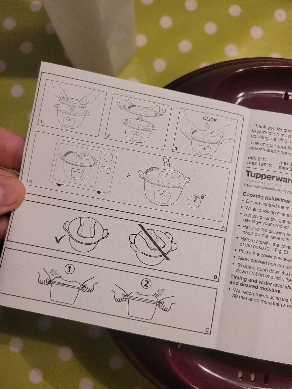 Tupperware Elettrodomestici da cucina: Tupperware Micro Rice Maker Large violet NEU – Nuovo e nell'imballaggio originale da Weingarten-Kalth venduto da Angela0124 4