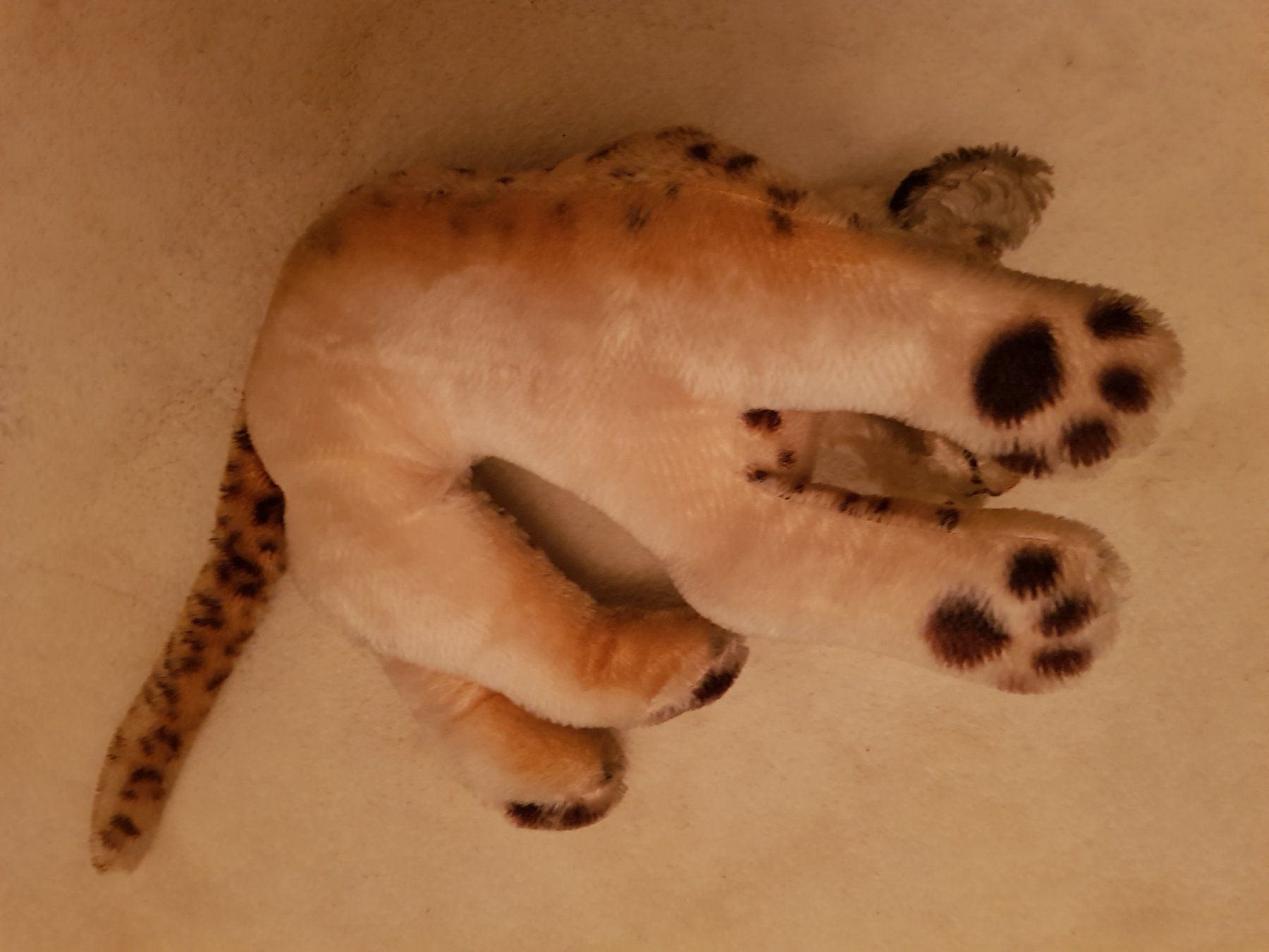 Steiff Jouets: Antiker Steiff Leopard / VERSAND möglich !! – D'occasion à Rütihof par Teddy1985 3