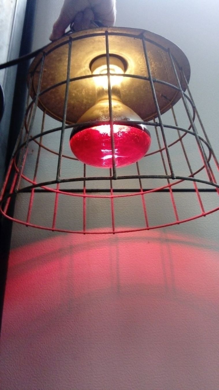 Lampade: Wärmelampe – Usato da Grüningen venduto da SaSiSo