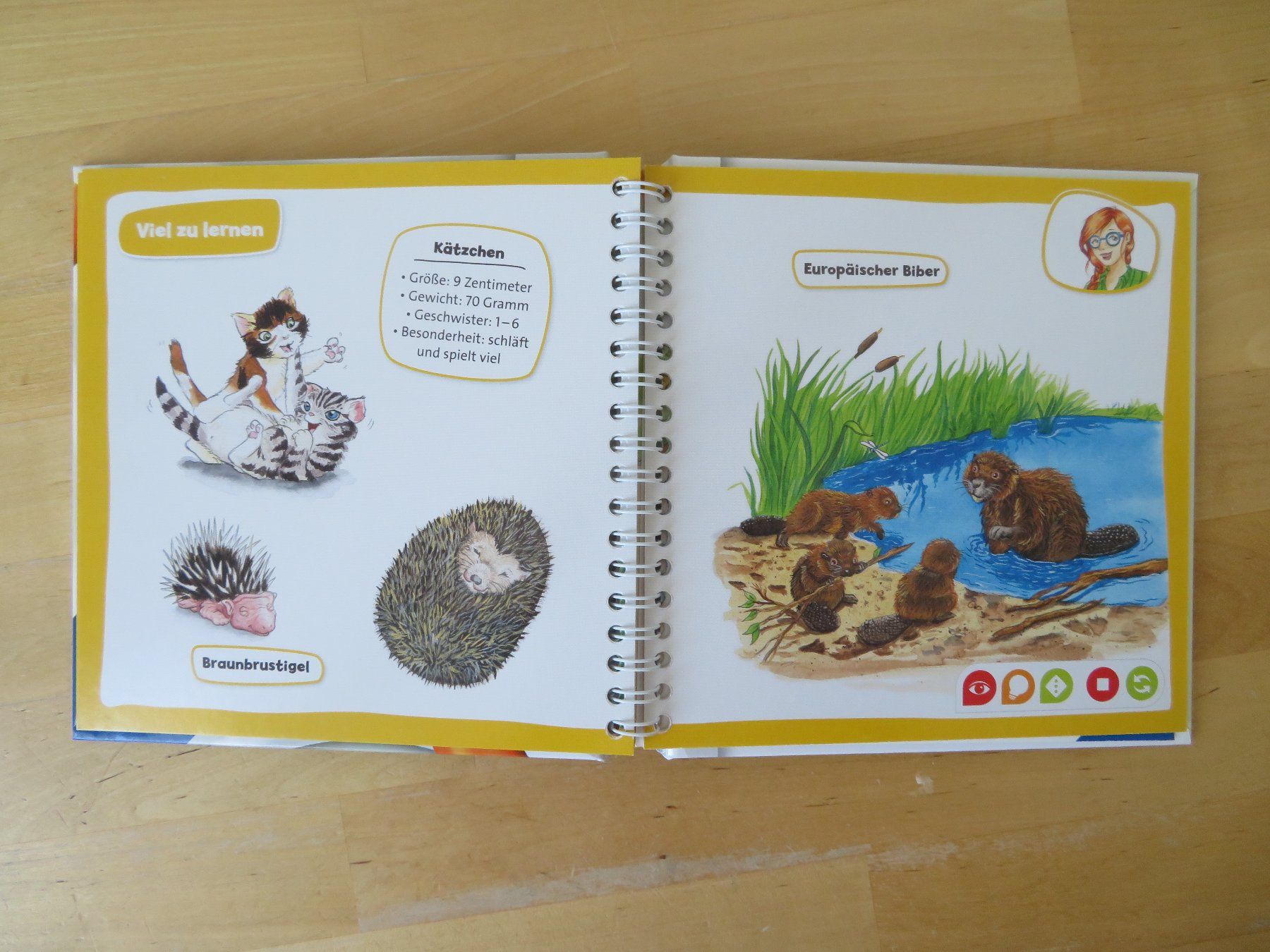 Libri: TIP TOI Pocket "Tierkinder" – Usato da Zürich venduto da piroma 2