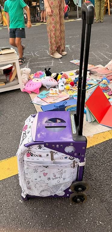 Züca Koffer & Taschen: ZÜCA Chariot Patinage – Gebraucht aus Lausanne von aho_rwh2 1
