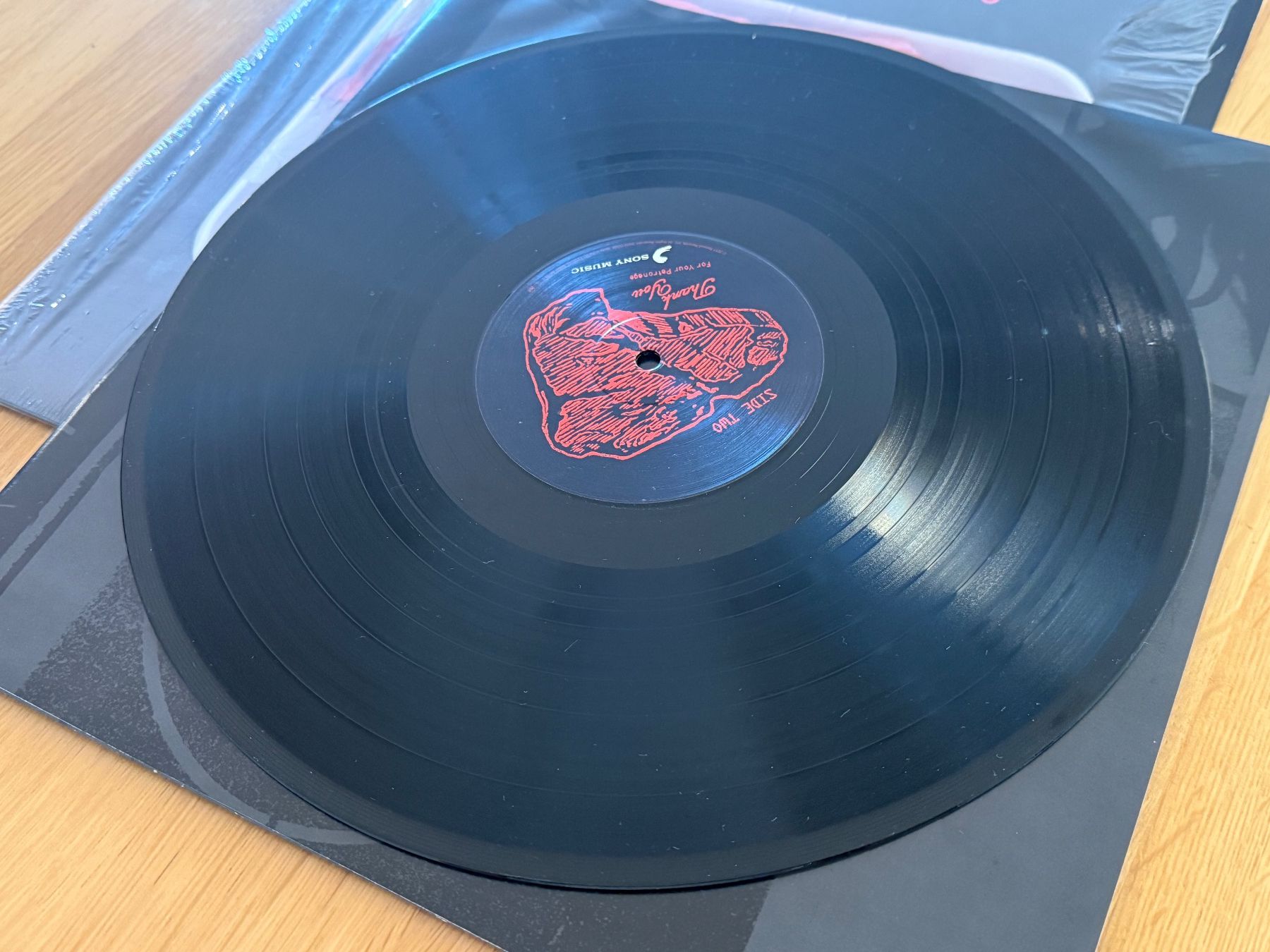 Dischi in vinile: Foo Fighters – Medium Rare 2LP Vinyl 2011 – Usato da Basel venduto da Rouge. 8