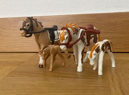 Playmobil Pferde Set