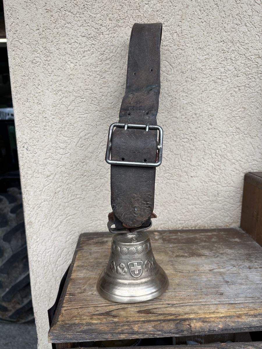 Campanacci mucche: Rinderglöggli – Usato da Schangnau venduto da Roseggli82