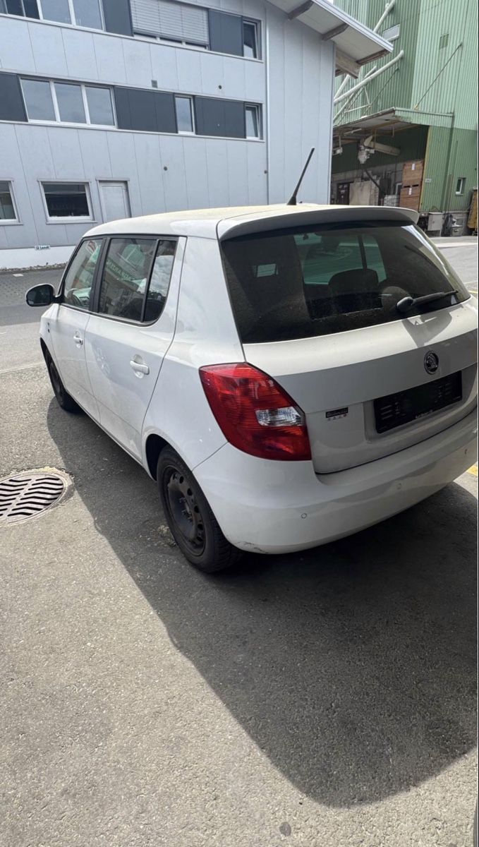 Skoda Automobili: Skoda Fabia 1.2 TSI Gtec – Usato da Willisau venduto da SM. 3