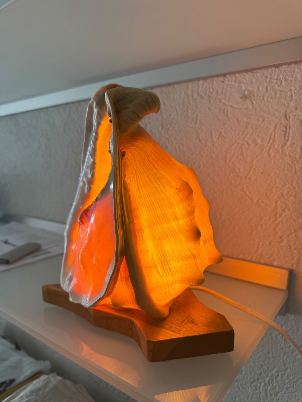 Lampes: Tischlampe "Gehörnte Helmschnecke" – D'occasion à MURI b. Bern par Anda1 1