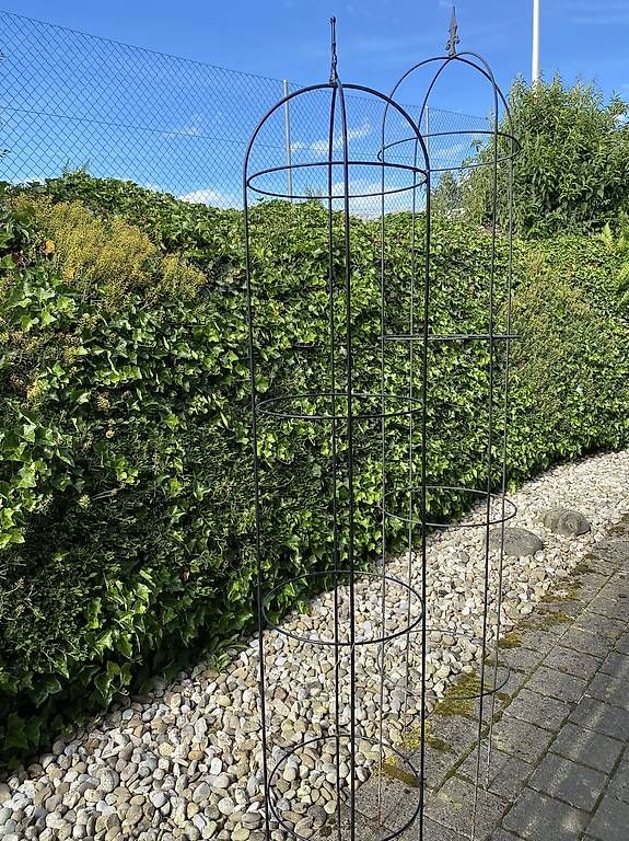 Altre Decorazioni per giardino: Rankhilfe Obelisk 2 Stück – Usato da Gempenach venduto da Mittelpudel
