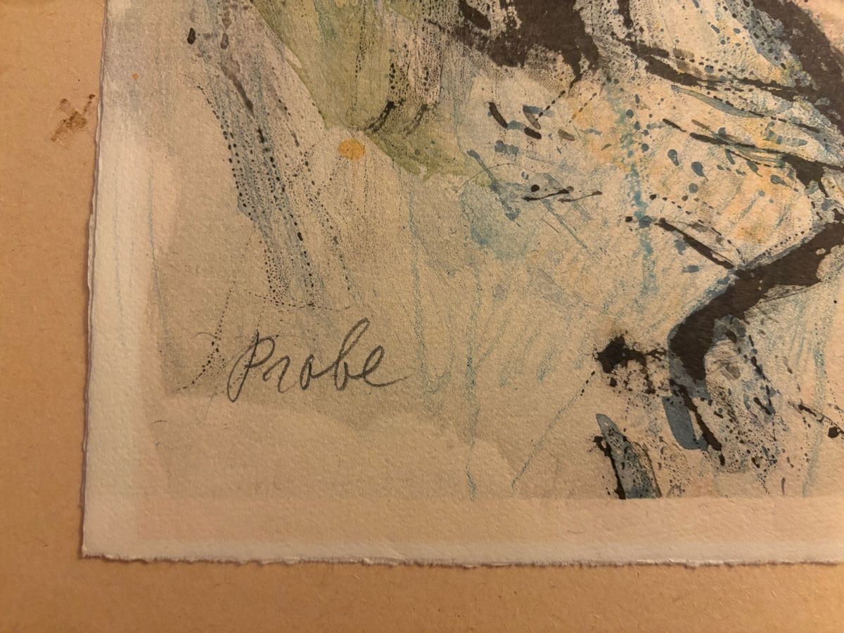 Arts picturaux & lithographies: Fritz Hug Löwe Farblithografie - Probe – D'occasion à Arth par tir_y6zz 3