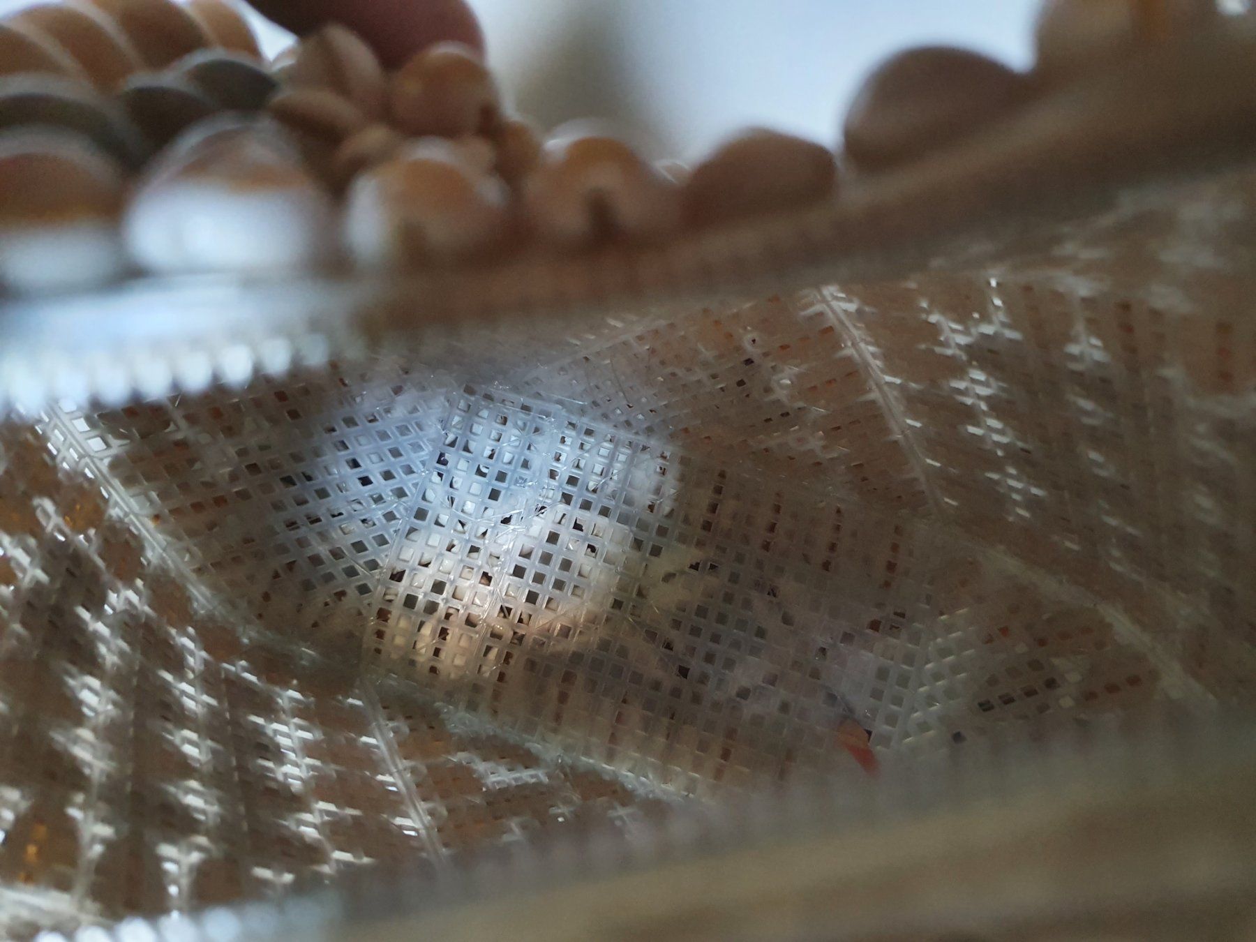 Borse da donna: Tasche aus Muscheln – Usato da Langnau am Albis venduto da jer_pm72 8