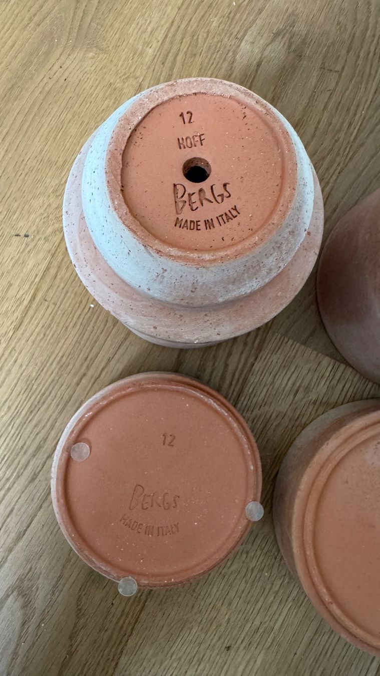 Vasi per fiori: Bergs Potter Hoff Pot Blumentopf+Unterteller 2er Set NP61 – Nuovo (secondo la descrizione) da Riehen venduto da To120 9