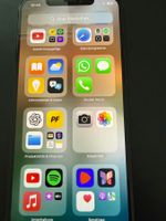 Apple iPhone XS max 64 GB schwarz gebraucht defekter Akku