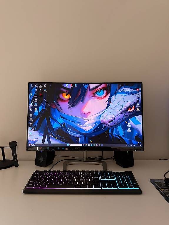 Monitor: Monitor PC Philips E Line 27" Full HD  Ottimo stato – Usato da Vacallo venduto da tobias2526 1