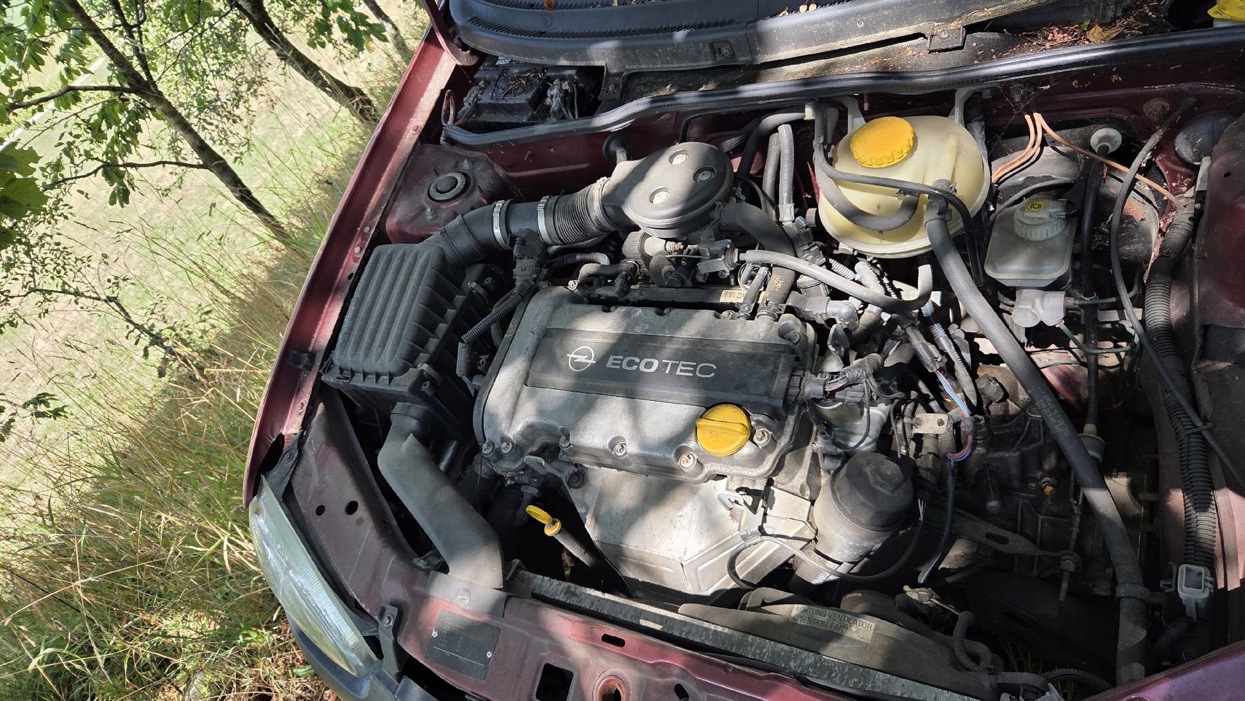 Opel Automobili: Opel Corsa B12 16V für Teile oder Export – Usato da Konolfingen venduto da borkenkaefer91 5