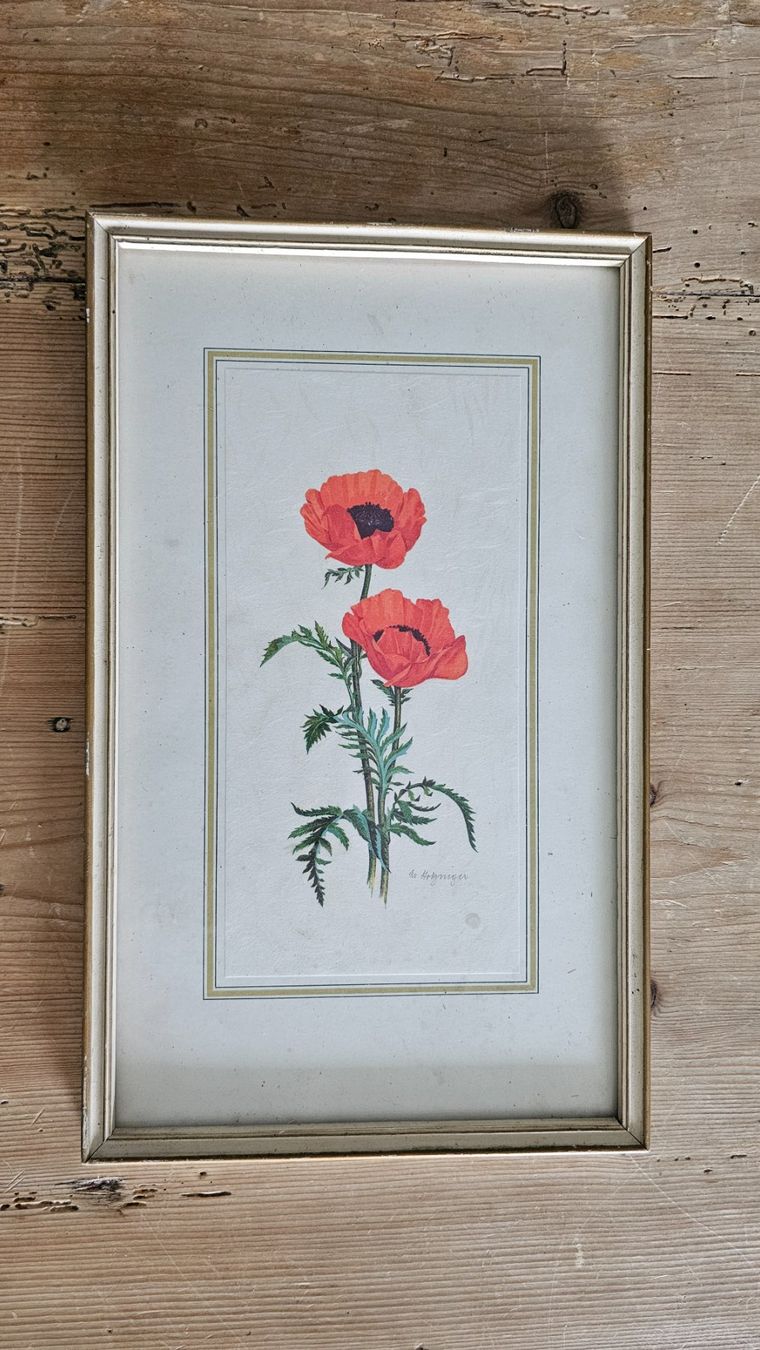 Tableaux: Aquarell – D'occasion à Widnau par franzh1961