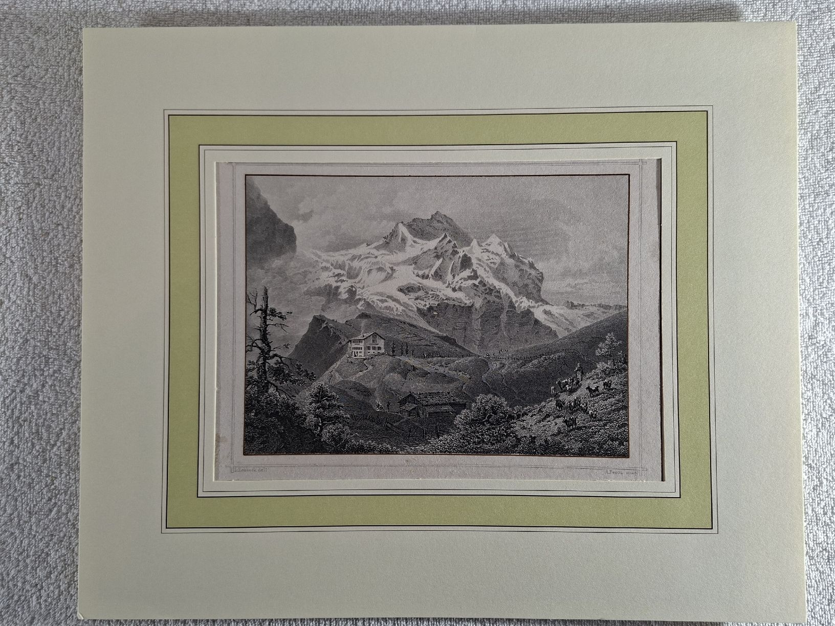 Incisioni: Lot 9  5 Stiche berner Oberland  – Usato da Grindelwald venduto da carro5 2