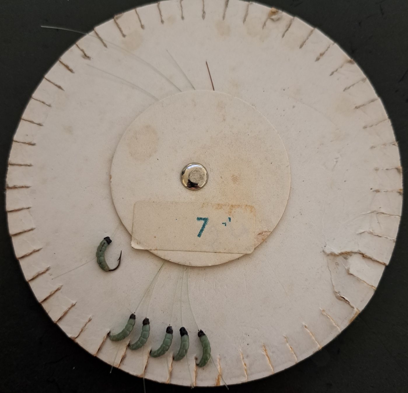 Stucki Thun Esche: 6 nymphes "larve" Stucki h 14 – Nuovo e nell'imballaggio originale da Fribourg venduto da versus702