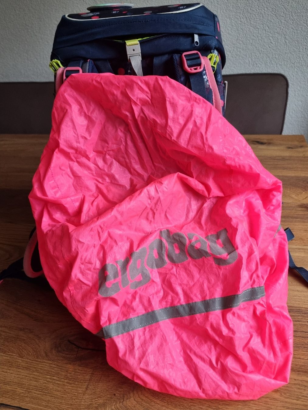 Ergobag Borse & Zaini: Ergobag Cubo light – Usato da Näfels venduto da Phd534 2