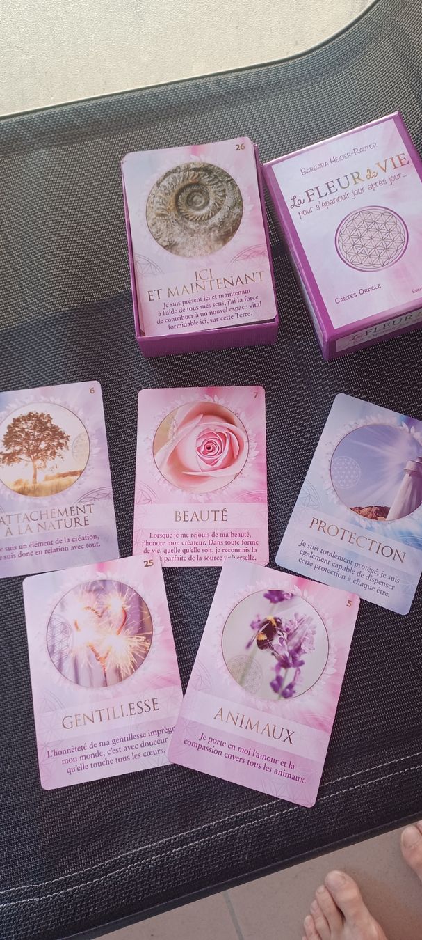 Cartoline: Oracle La Fleur de Vie comme neuf – Usato da Vesin venduto da faanystic 1