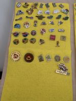 Lot de 40 pins divers collection bon état général